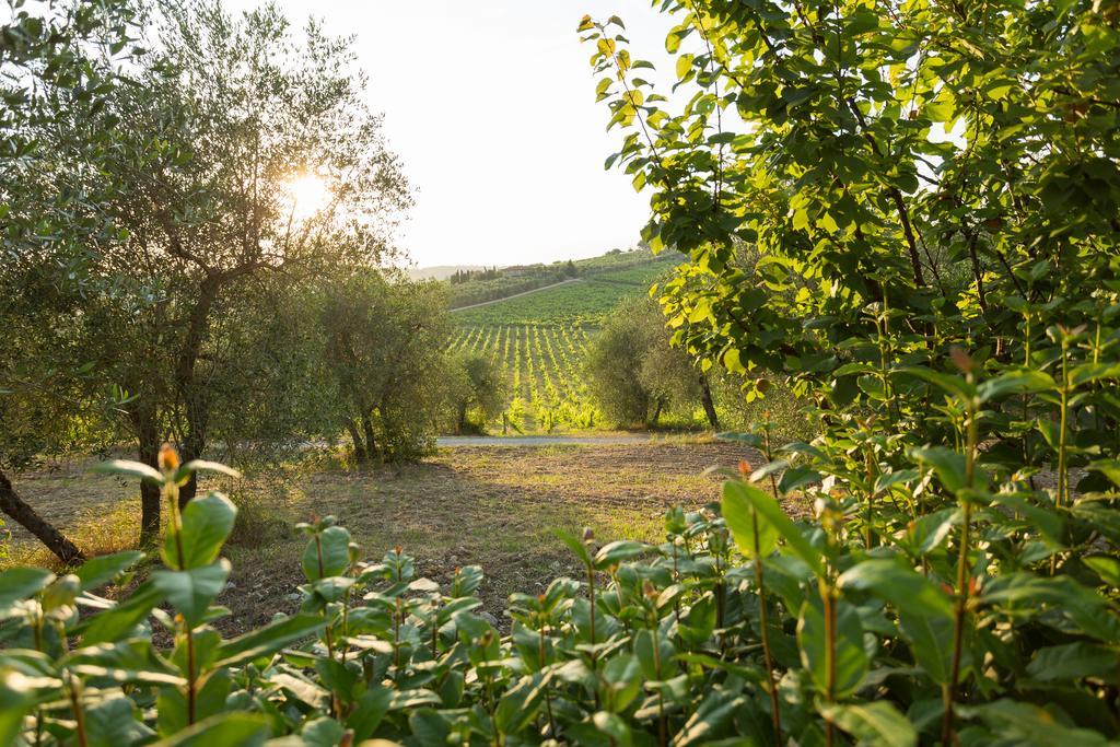 Tenuta Di Monaciano Ponte A Bozzone المظهر الخارجي الصورة