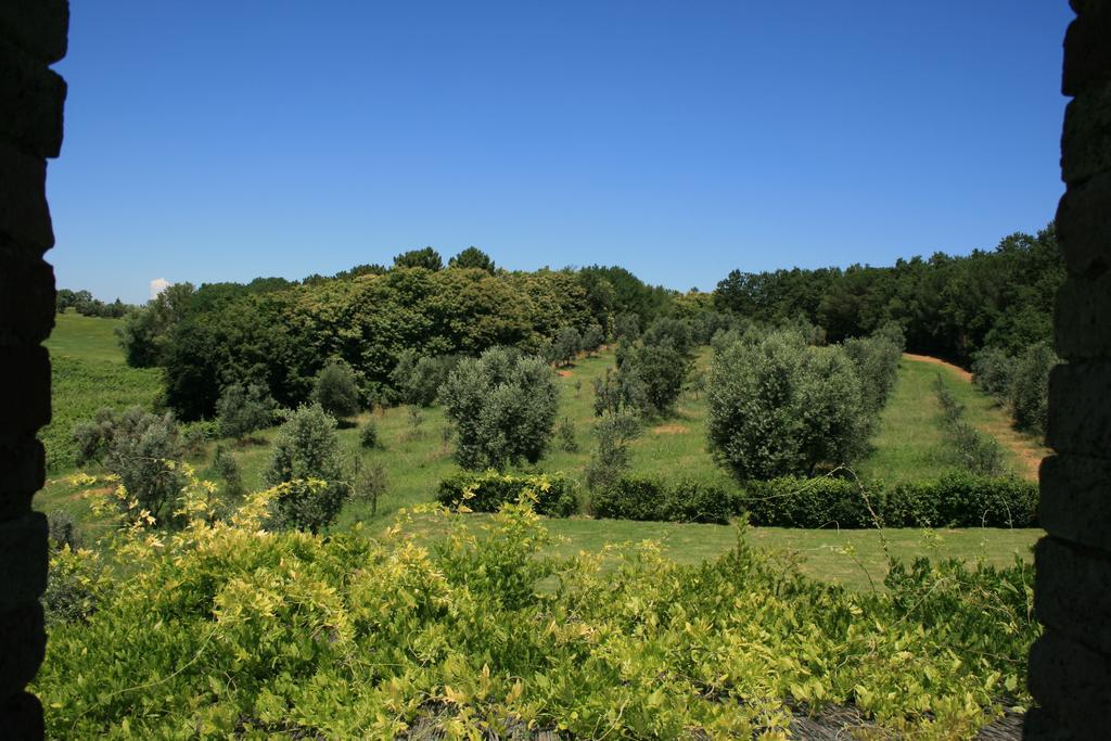 Tenuta Di Monaciano Ponte A Bozzone الغرفة الصورة